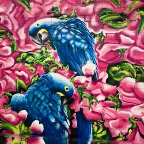 Matte Bird Mural Street Art