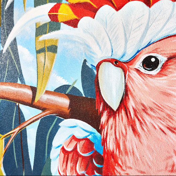 Glen Downet Mural Artist Australian Native Animal Flora Fauna