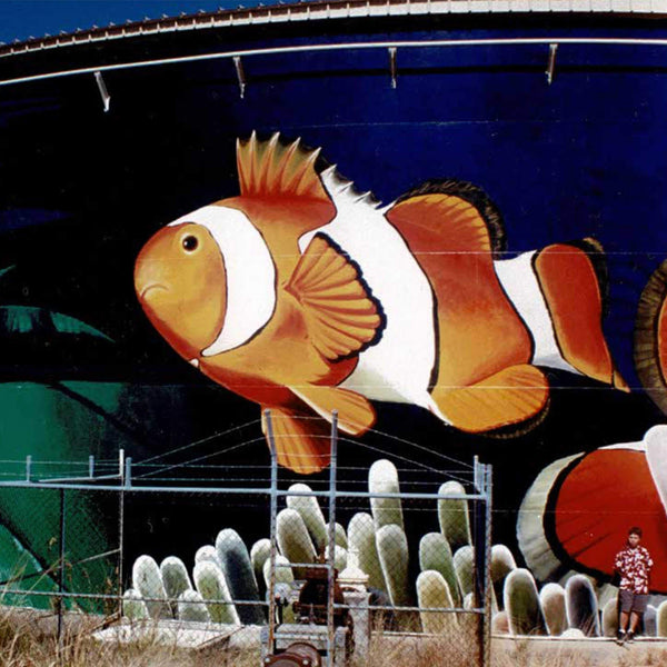 Water Tank Silo Mural Art Australia